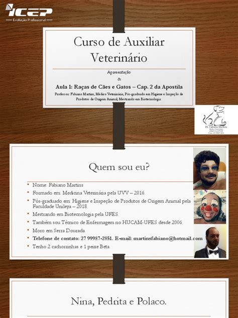 Curso de Auxiliar Veterinário Aula 1 | PDF | Cães | Medicina Veterinária