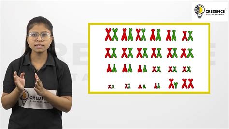 Sex Determination Class 10 Science Chapter 9 Heredity And Evolution