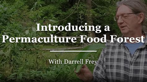 Permaculture Food Forest For You Videos Mother Earth News