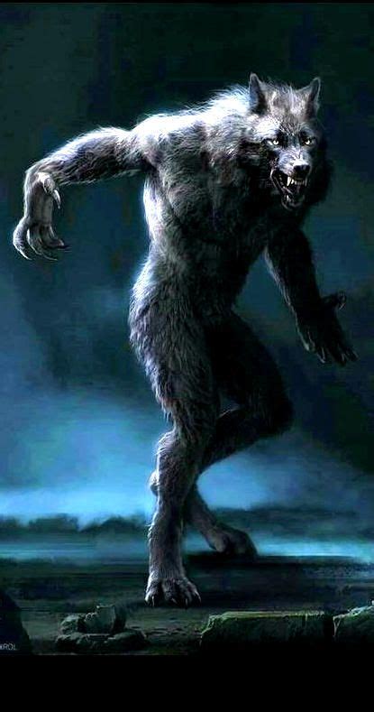 350 Werwolf-Ideen in 2021 | werwolf, werwolf kunst, vampire und werwölfe