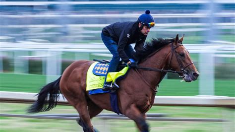 Kentucky Derby 2025 horses list: Why contenders can win Run for Roses