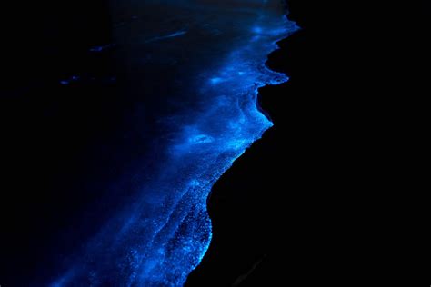 How to see bioluminescence in the ocean - Extreme Pursuit