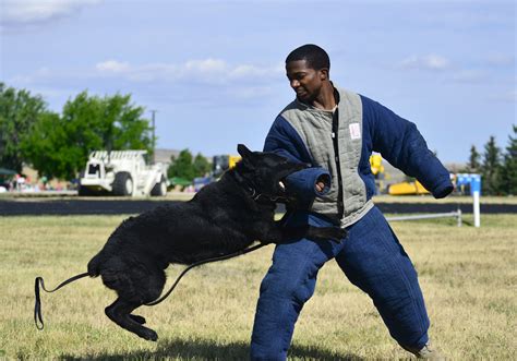 Wing picnic brings base together for food, fellowship, fun