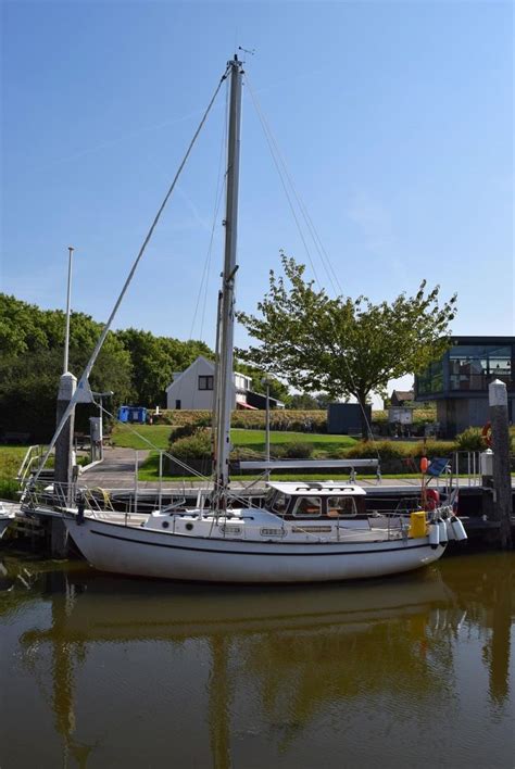 aanbod boten en jachten te koop bij sealion yachts boten yacht