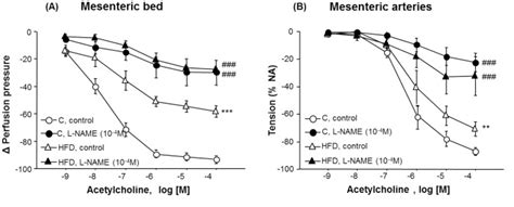 Cumulative Concentration Response Curves To Acetylcholine Ach 1