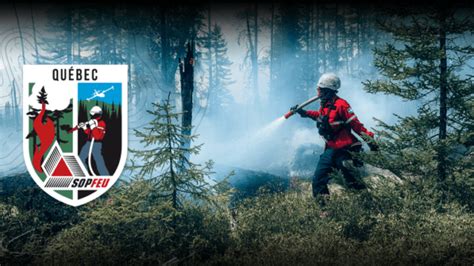 Les feux de camp causent 60 feux de forêt chaque année