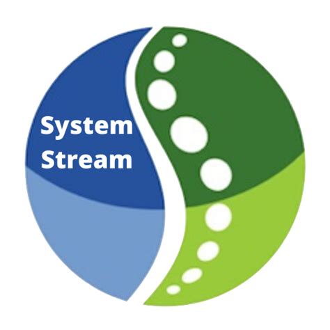 system stream systems  drive expense reduction initiatives