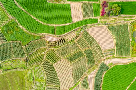 Aerial Farmland Picture And Hd Photos Free Download On Lovepik