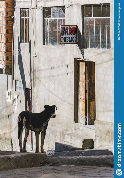 A Dog In Front Of A Door With `public Restroom` Sign In The Background