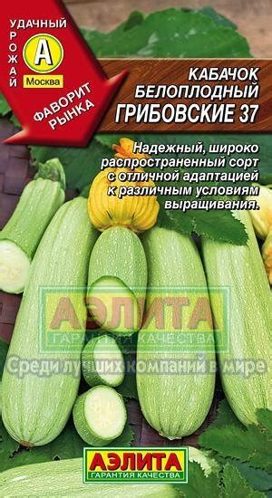 Купить Кабачок б/плод Грибовский 37 /2г среднеран в Санкт-Петербурге ...