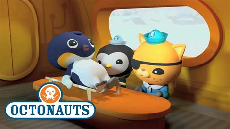 Octonauts Emperor Penguin Sea Creature Encounter Cartoons For