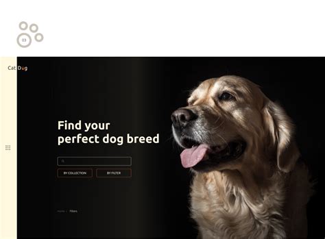 Website for animal shelter :: Behance