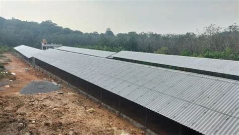 Panel Build Mild Steel Prefabricated Farm Shed At Rs Square Feet In