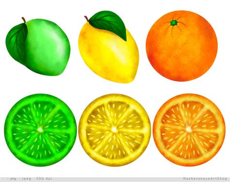 Watercolor Fruits Clipart Tropical Fruit Instant Download Etsy