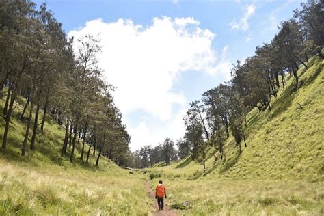 9 Potret Sabana Gunung Lawu Indahnya Bikin Terpukau