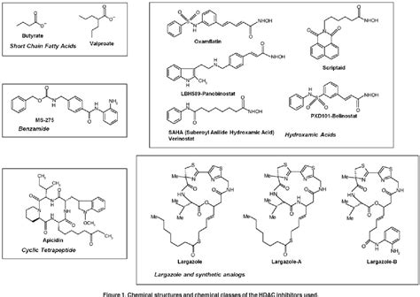 Figure 1 From Histone Deacetylase Inhibitors Are Potent Inducers Of