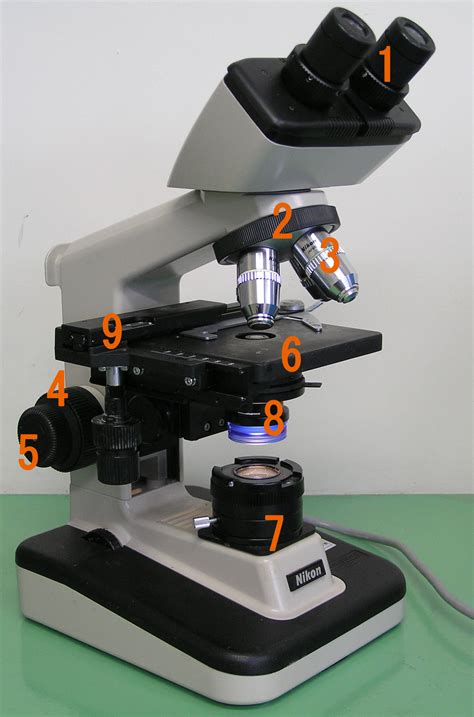 microscope  cells biology  laboratory manual