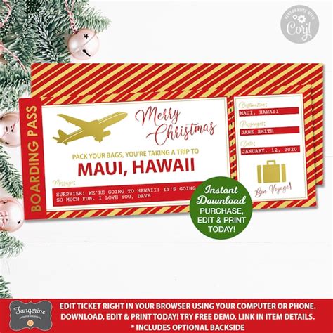 Surprise Trip Airplane Ticket Boarding Pass Christmas Gift