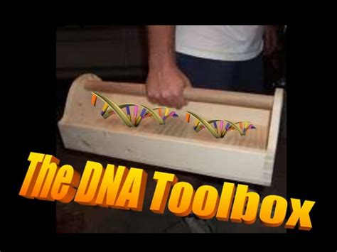 04 The Dna Toolbox Ppt