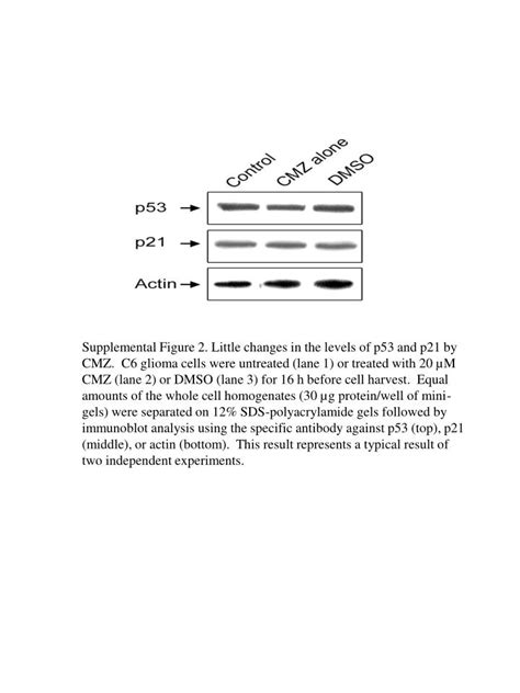 PPT - PowerPoint Presentation, free download - ID:3409163