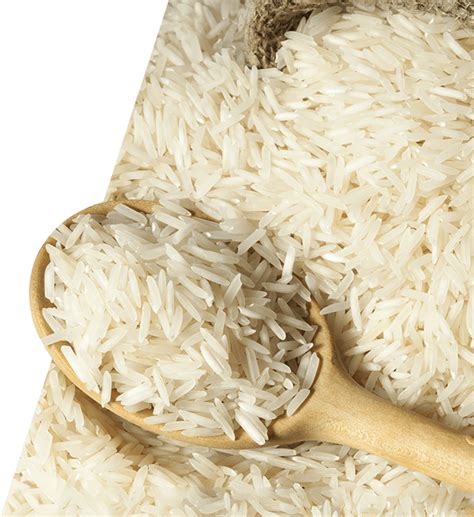 rice PNG