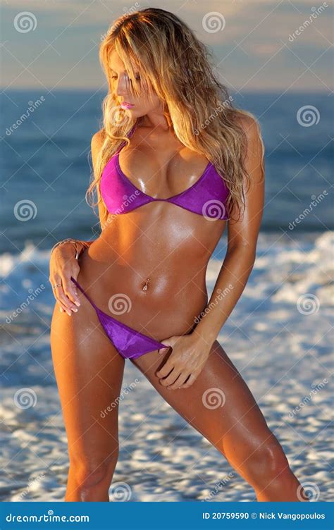 Fille Sexy De Bikini Photo Stock Image Du Adulte Bronz