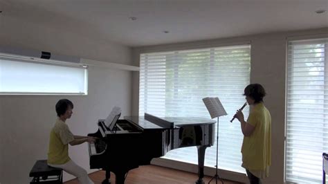 真心ブラザーズ ENDLESS SUMMER NUDE リコーダーピアノアレンジ YouTube