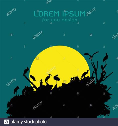 Flying Formations Stock Vector Images Alamy
