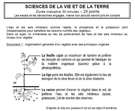 Sujet de SVT au brevet des collèges Vive les SVT Les sciences de la