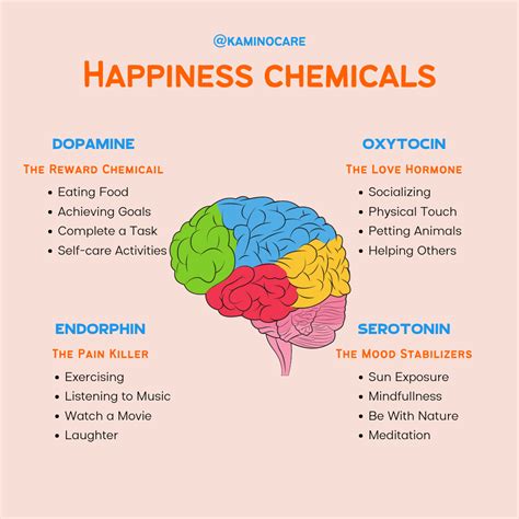 Happiness Chemicals - Kamino Care