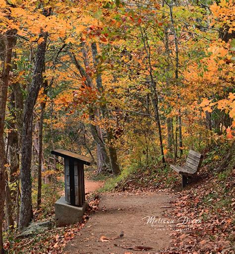 Jackson Falls Natchez Trace