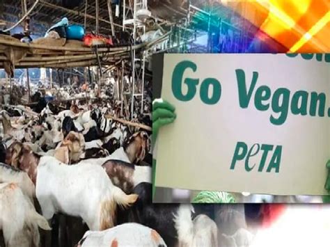 Ranveer Singh Asked To Pose Nude By Peta India For An Ad After Controversial Photoshoot Details