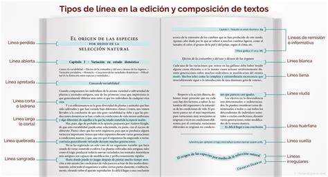 Diferentes tipos de línea para la edición y composición de textos