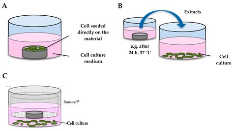 JFB Free Full Text Are Fe Based Stenting Materials Biocompatible A