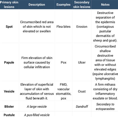 Primary Skin Lesions