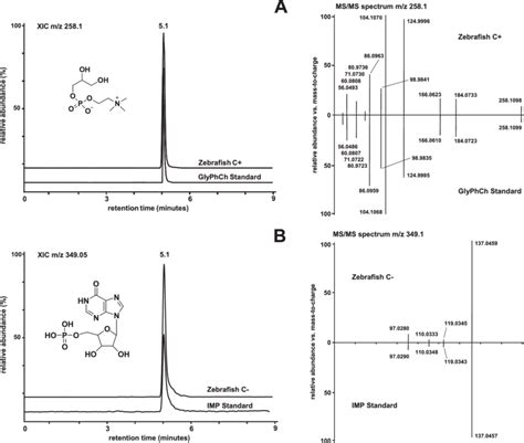 Identification of metabolites using the untargeted metabolomics ...