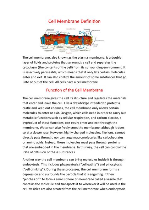 Cell Membrane Definition