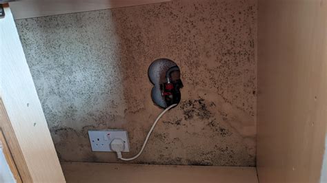 Water leak and mould growth in back of kitchen cabinets. How screwed am