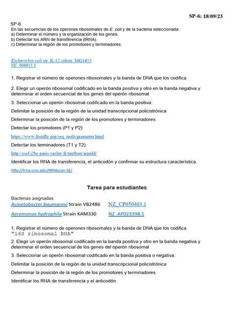 SP-6 | PDF