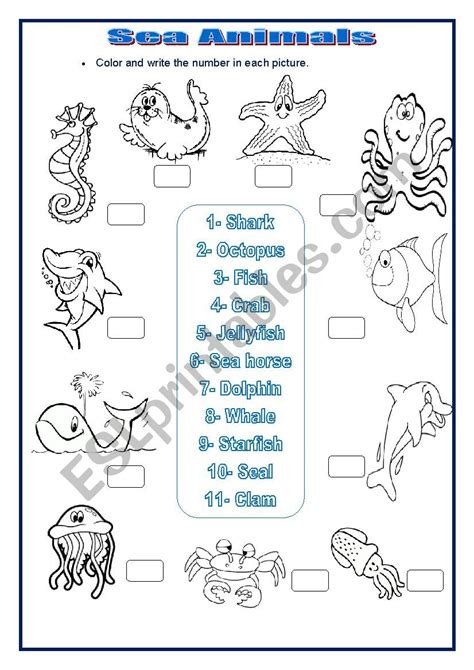 Sea Animals Esl Worksheet By Sumerce