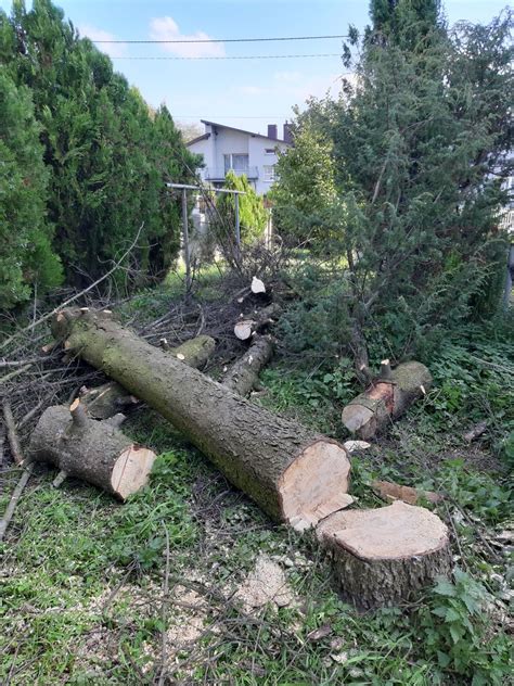 Wycinka drzew trudnych karczowanie działek sprzątanie koszenie traw