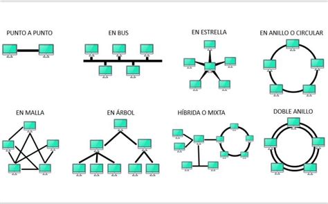 Redes Tipos De Topologias The Best Porn Website