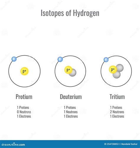 Isotopes Of Hydrogen Vector Illustration Stock Vector Illustration Of