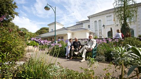 penlee house gallery  museum art fund