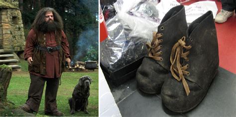 Diy Hagrid Costume
