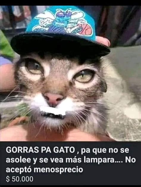 Los Últimos Memes Memedroid