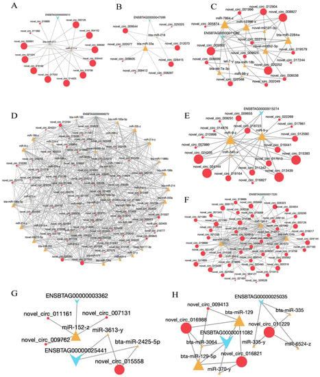 IJMS | January-1 2023 - Browse Articles 