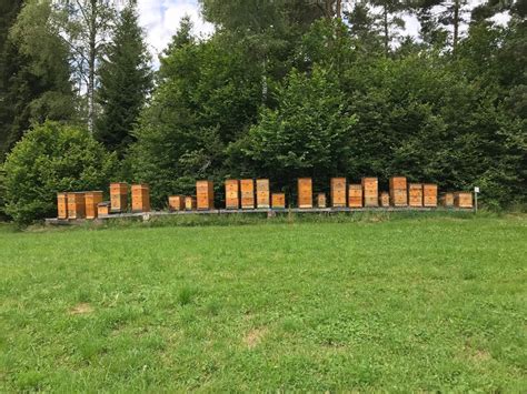 Bienen Und Imkerei Bienenv Lker Kaufen Landwirt