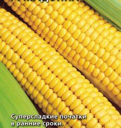 Купить семена кукурузы Супер Супер сладкая | интернет-магазин Белая Аллея