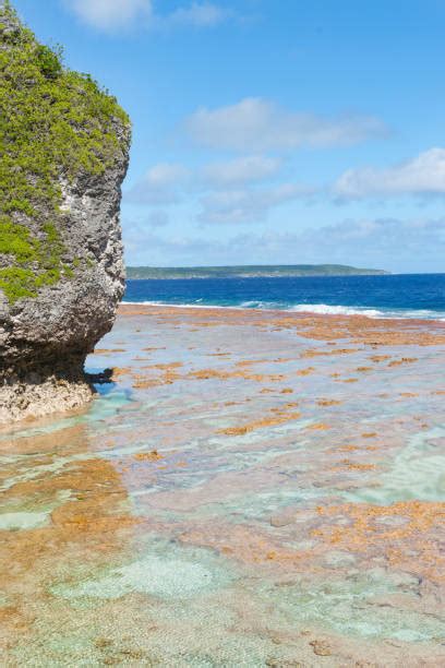 Niue Holiday Stock Photos Pictures And Royalty Free Images Istock